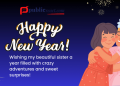 Happy New Year Wishes for Sister